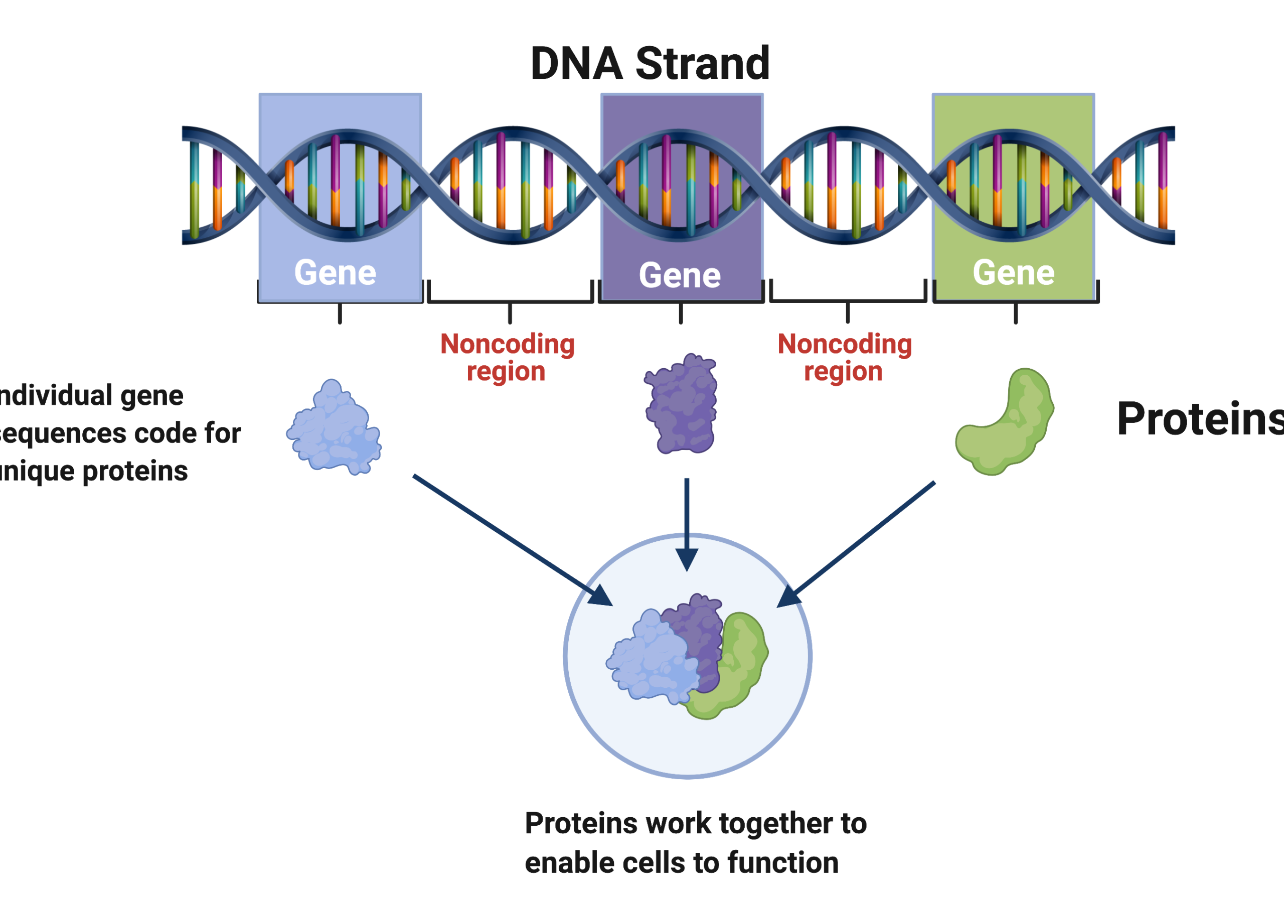 dna it resources scaled