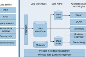 Enterprise Information Services