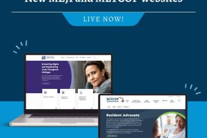 Meji Laptop Services