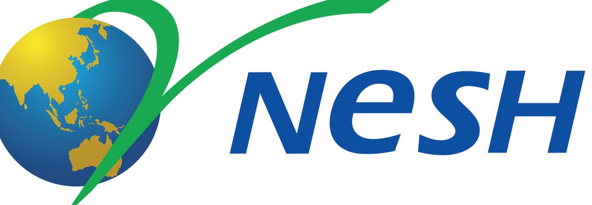nesh global systems m sdn bhd