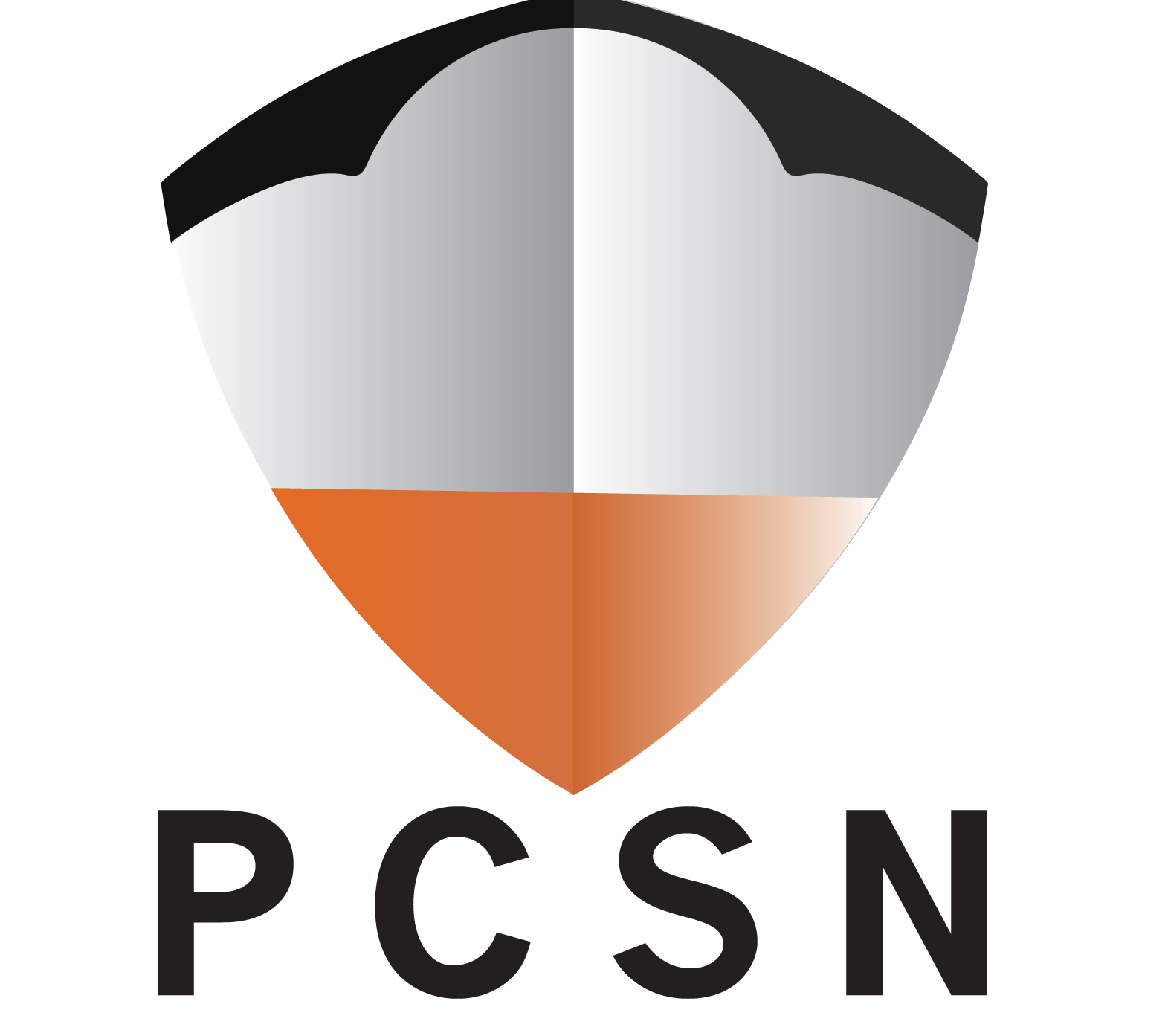 nn pc solutions