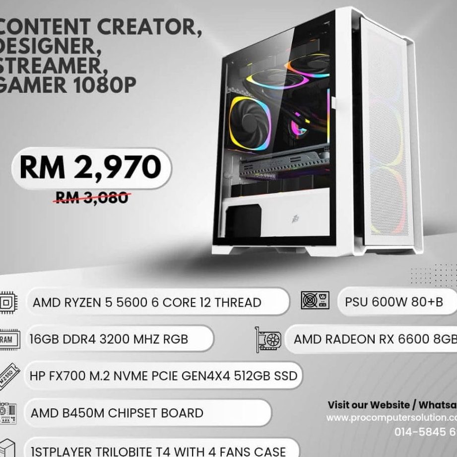 pro computer solution