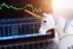 Unicorn Computer Enterprise
